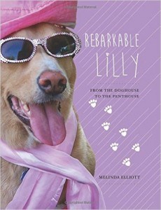 Rebarkable Lilly book
