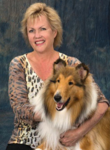 Collie dog, Canine Cover Contest, Plano Profile