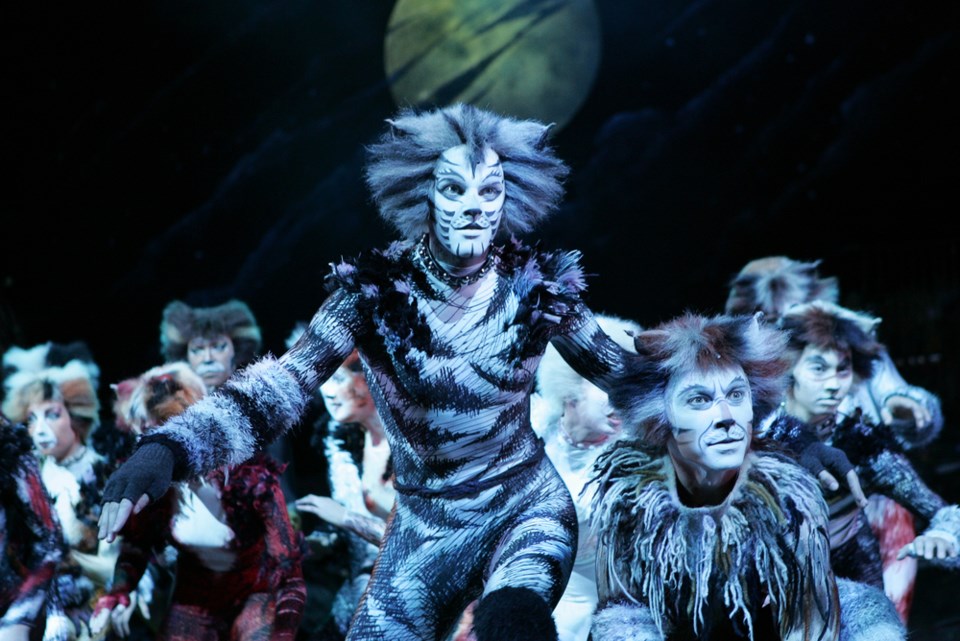 CATS the musical