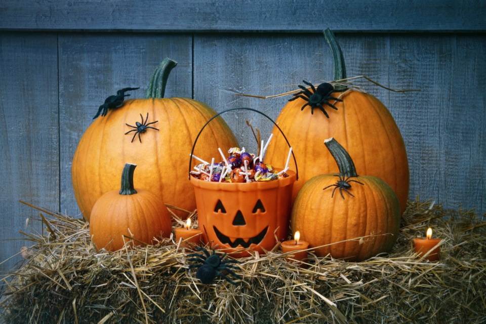 Halloween Plano pumpkins spiders