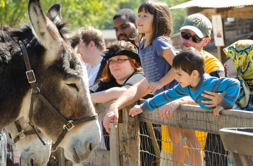 Heritage Farmstead Museum Plano, best summer camps near me