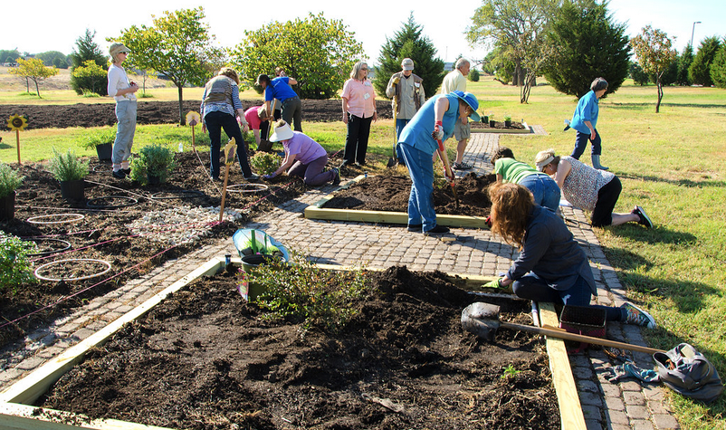 Plano Garden Club, Childrens Medical Center Plano