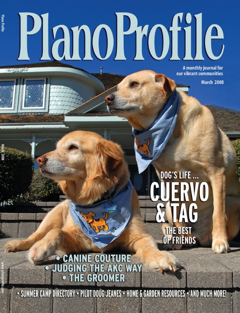 Plano Profile Cover 2008