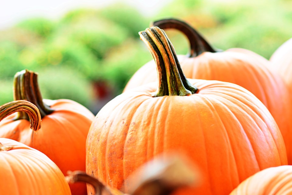 Pumpkin health benefits