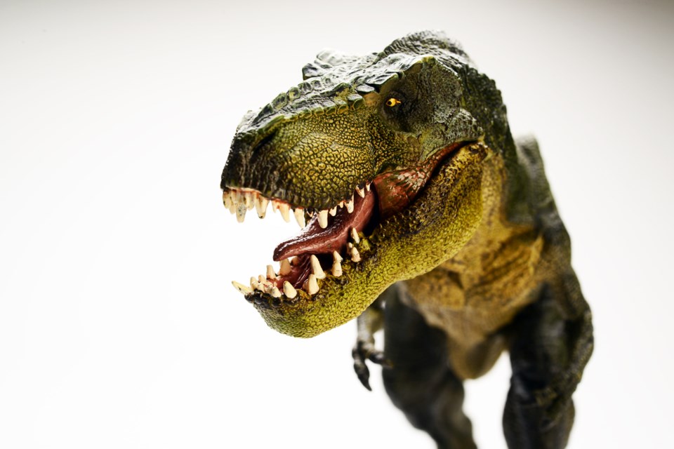 dinosaurs Heard Natural Science Museum