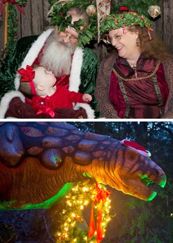 heard_museum_plano_mckinney_holiday_trail of lights_2