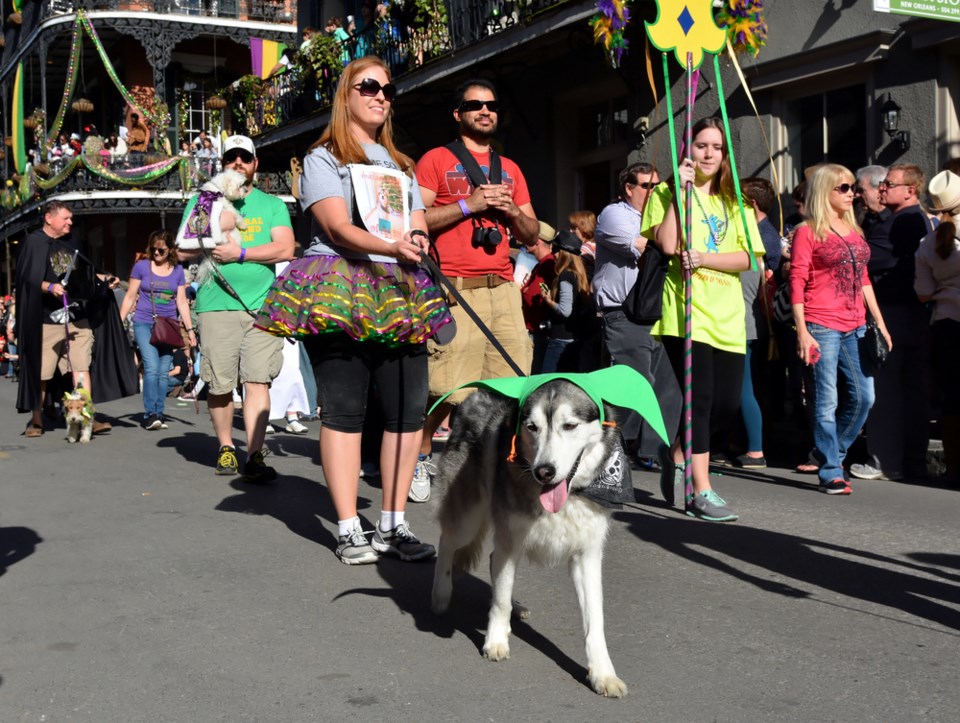 krewe barkus parade mardi gras