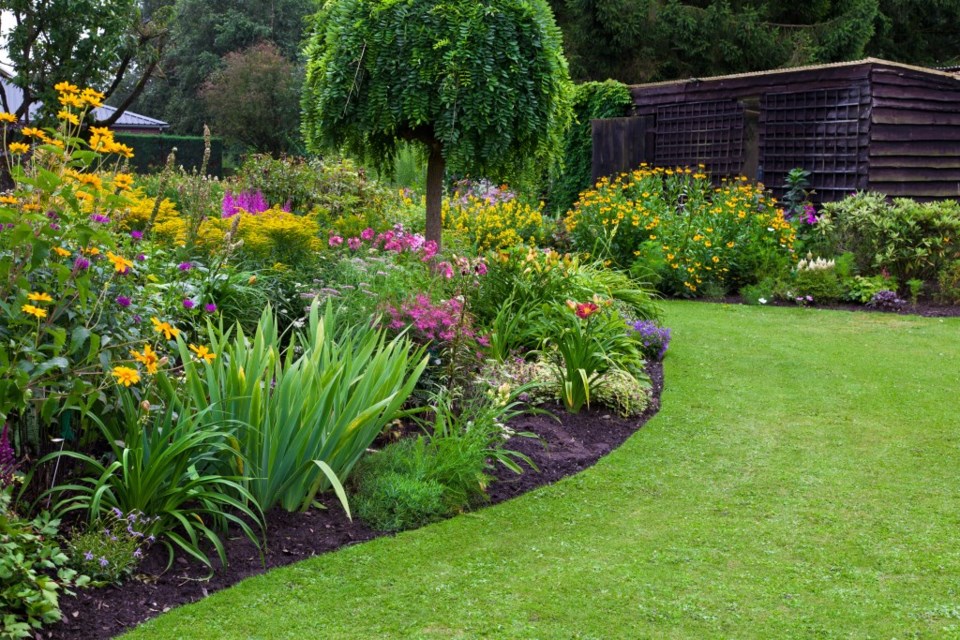 landscape yard flowers