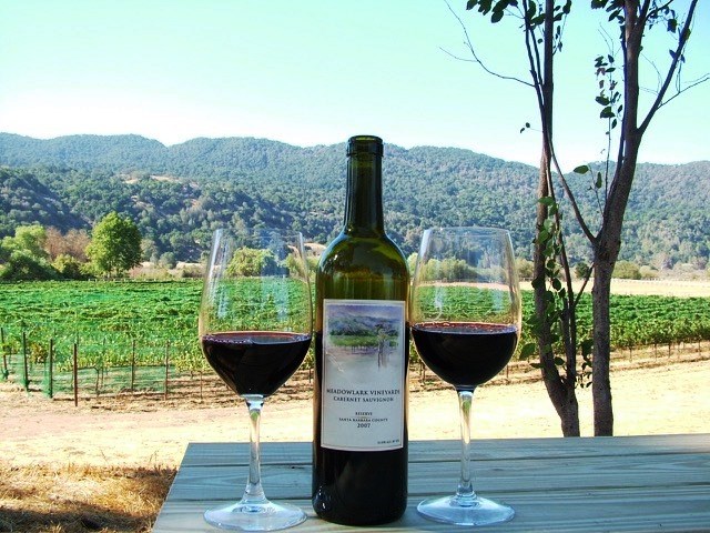 wine_meadowlark_vineyard_california