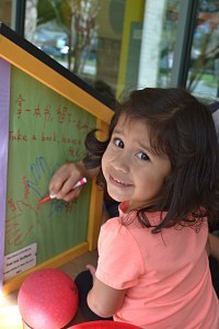 Little Free Libraries