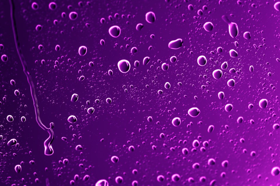 purple rain prince studio movie grill plano