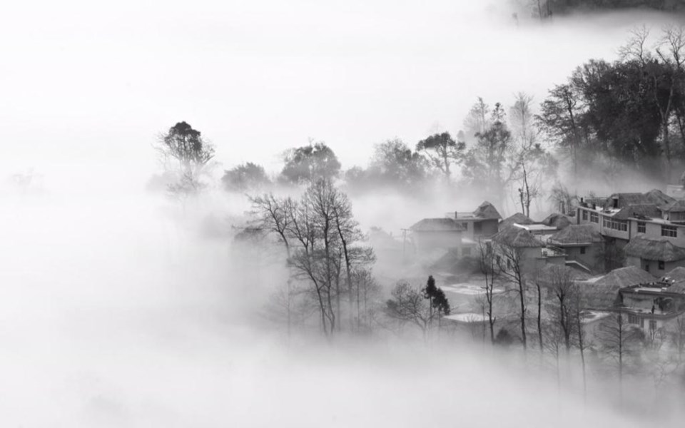 Photography black and white David Liu China trees in mist Asian art