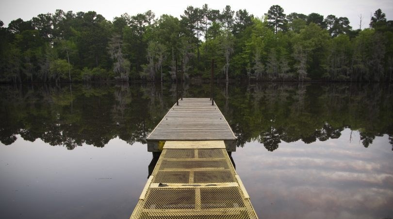 Caddo Lake Texas natural beauty nature outdoors cypress trees water and dock