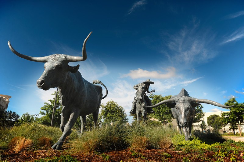 Longhorn Statues, Plano Texas
