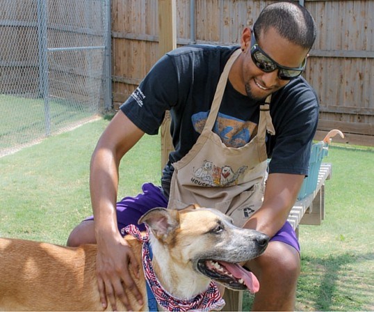 City of Plano, Animal Shelter dog