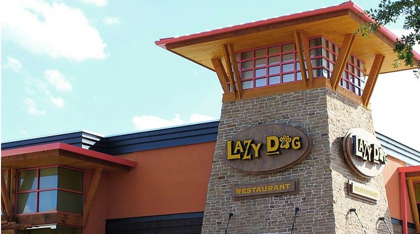 lazy dog Plano