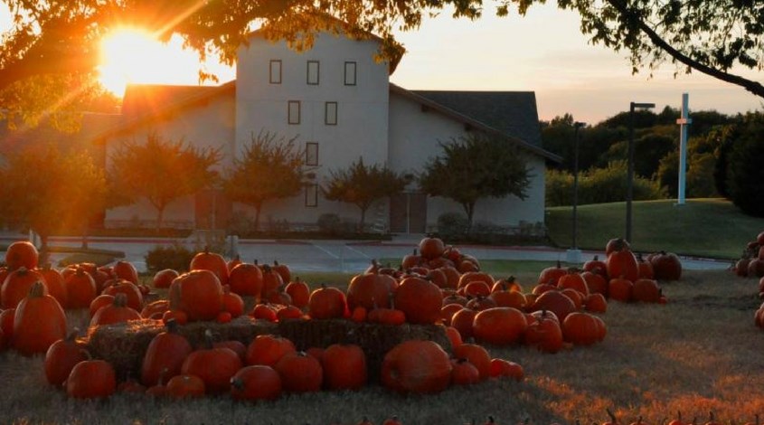 Creekwood Pumpkin Patch