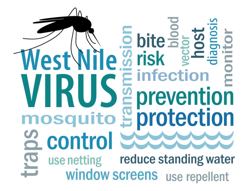 West Nile human case in Plano 2016