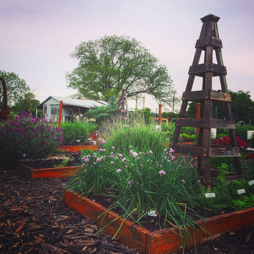 Collin-County-Master Gardeners-2017-Garden-Show