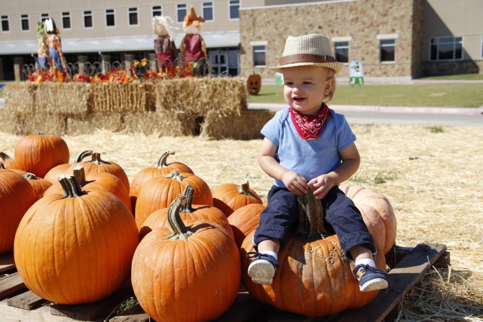 Pumpkin Patch, heritage Farmstead Museum, Plano, pumpkin patches, things to do this weekend