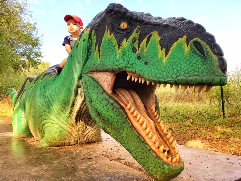 Photo-opp T-Rex at Dinosaurs Live! at the Heard Natural Science Museum & Sanctuary, McKinney, Texas