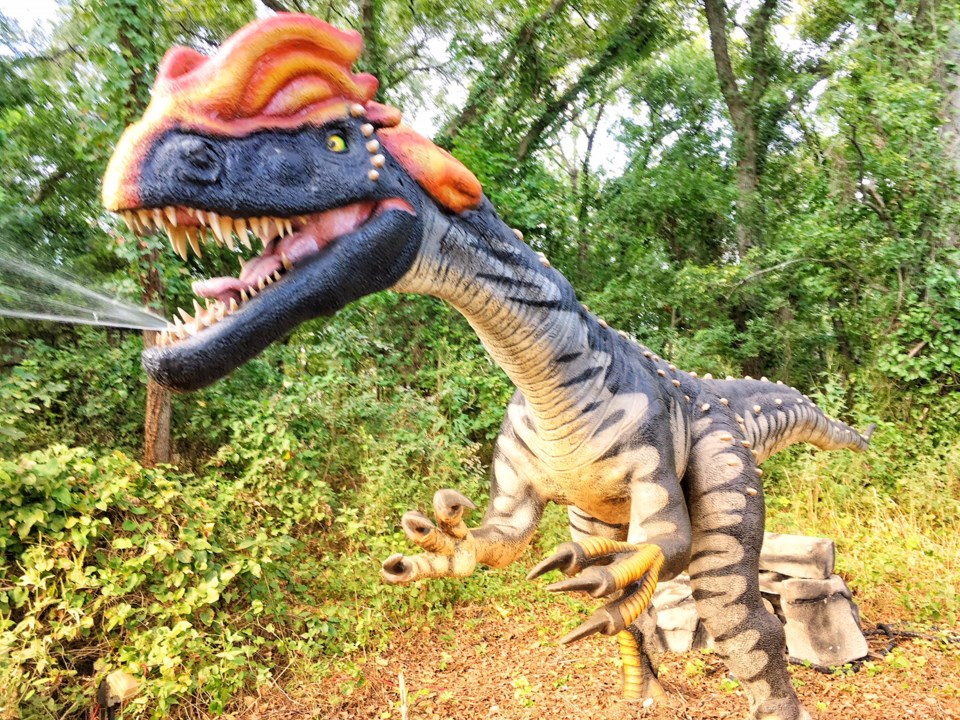 Photo-opp T-Rex at Dinosaurs Live! at the Heard Natural Science Museum & Sanctuary, McKinney, Texas