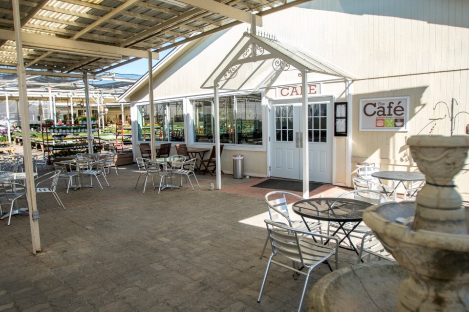 North Haven Garden Cafe Dallas Plano Profile Hidden Gems