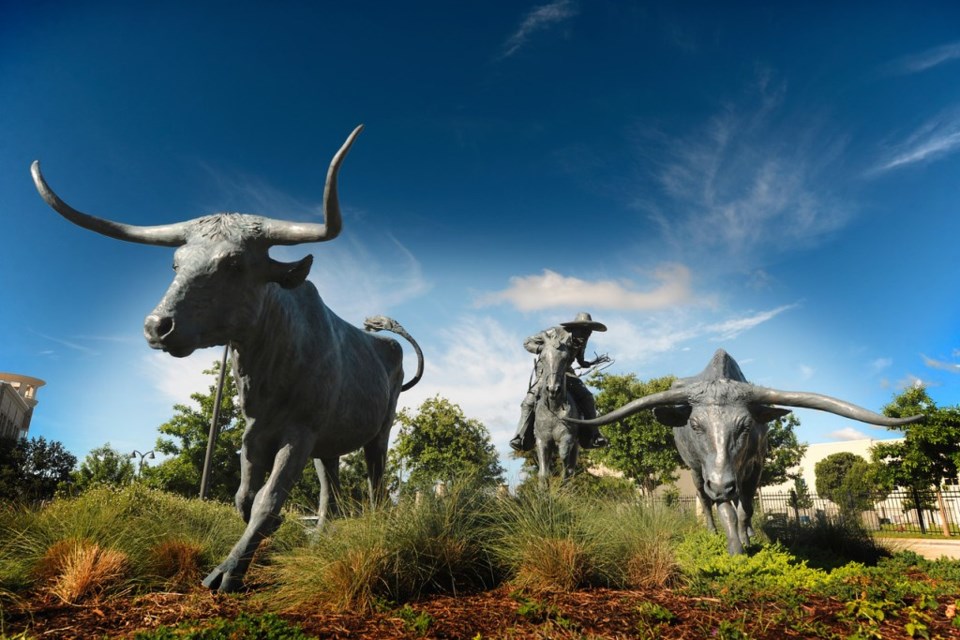 The Shops at Legacy, trails, sculpture, robert summers, longhorns