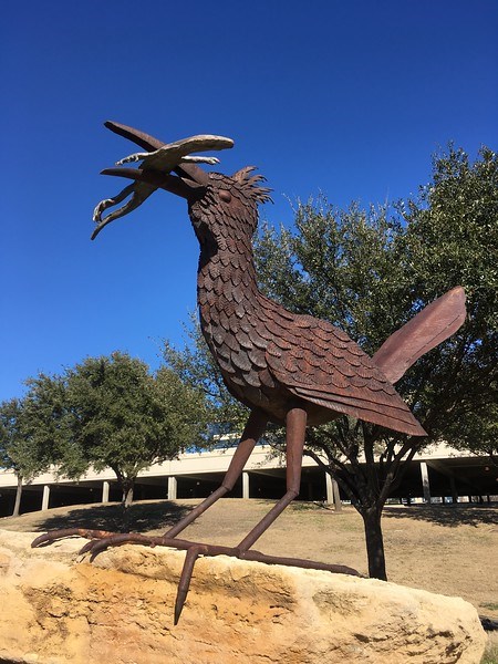 Roadrunner with Lizard and Horned Toad by Joe Barrington at HALL Park, Frisco