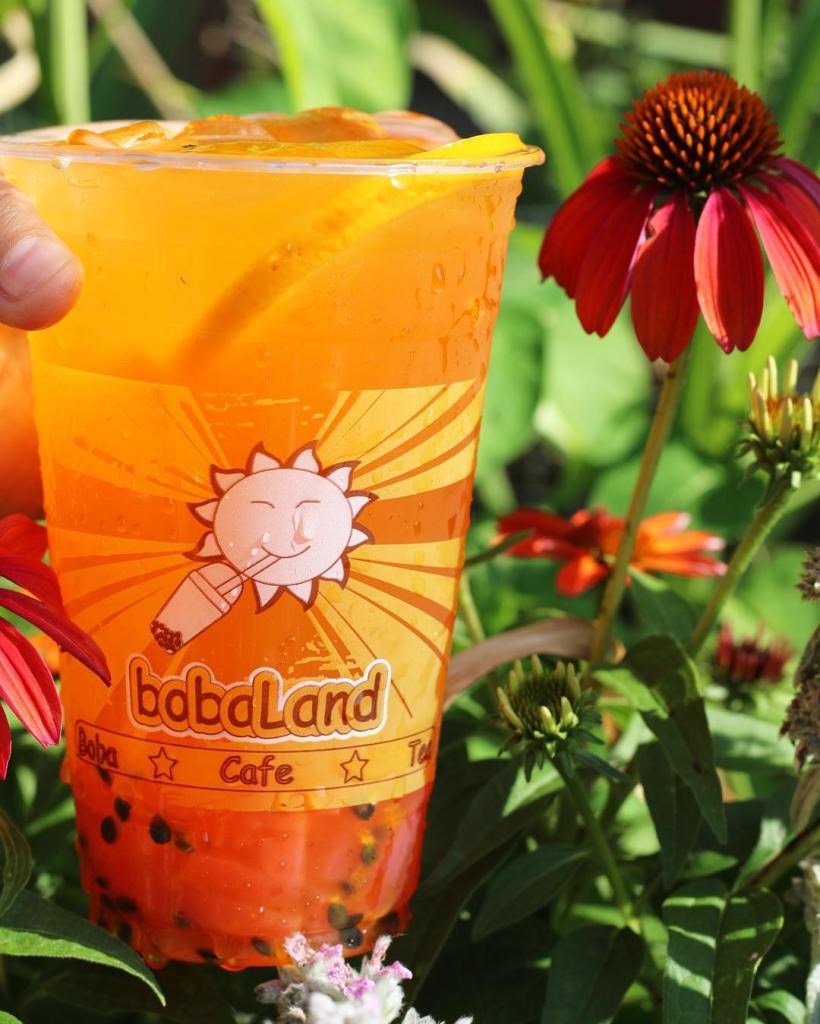 boba, plano, bobaland