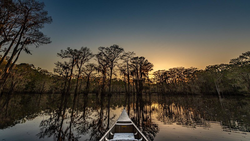 Caddo Lake in Texas. A wild beauty among Texas lakes! | Photo by David Downs