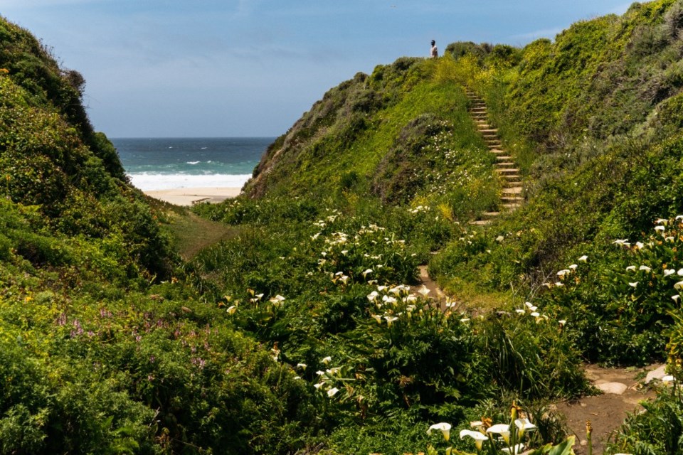 Big_Sur_Garrapata_Visconti_Full_Rights