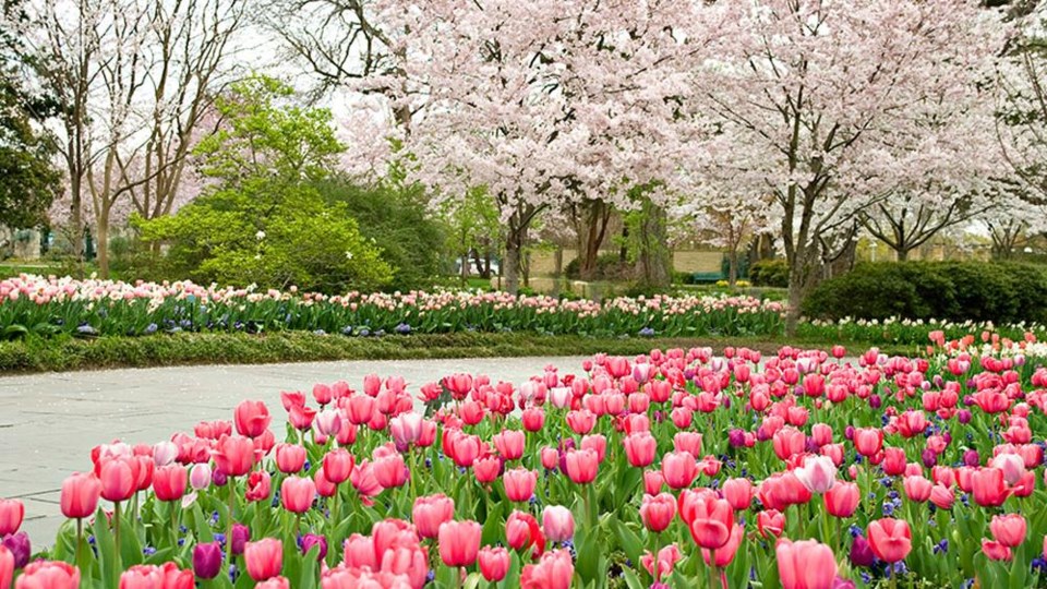 Dallas Arboretum