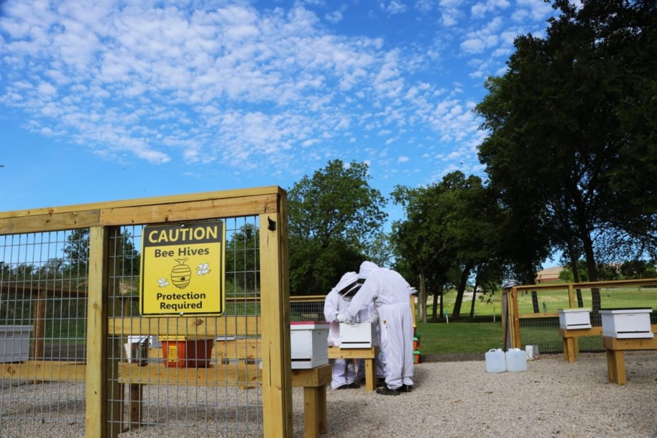 beekeeping