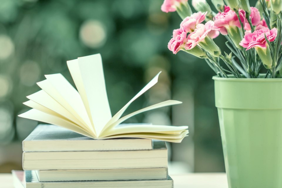 The,Fresh,Pink,Carnation,Flower,With,Books