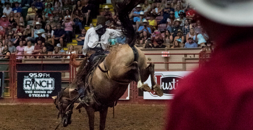 The bucking bronc at the Cowtown Coliseum rodeo in Fort Worth. | Photo by Jordan Jarrett (IG: @jordanjarrettphoto)