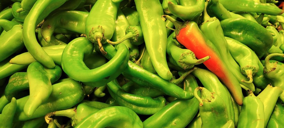 It&#8217;s Hatch chile season!