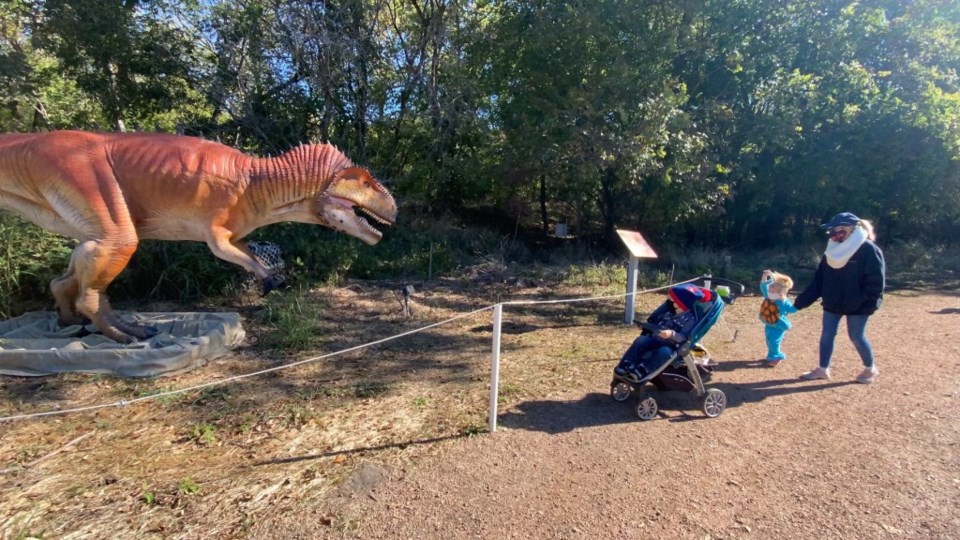 Dinosaurs Live! at The Heard Museum, Heard Natural Science Museum & Wildlife Sanctuary best things to do