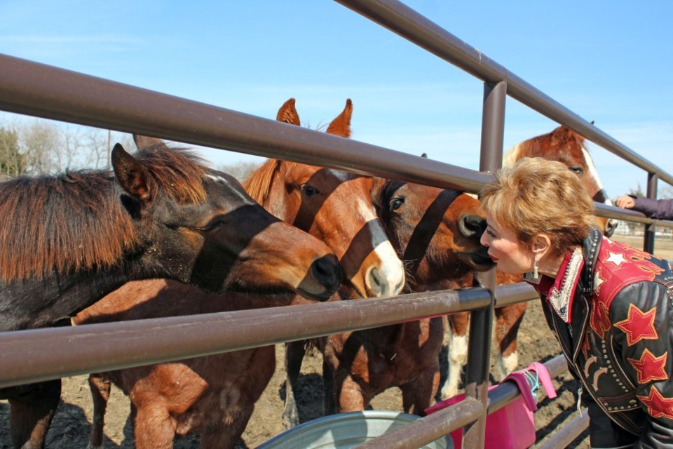 Kat Dozzo visits with her cutting horse yearlings at Lazy Kat Ranch.