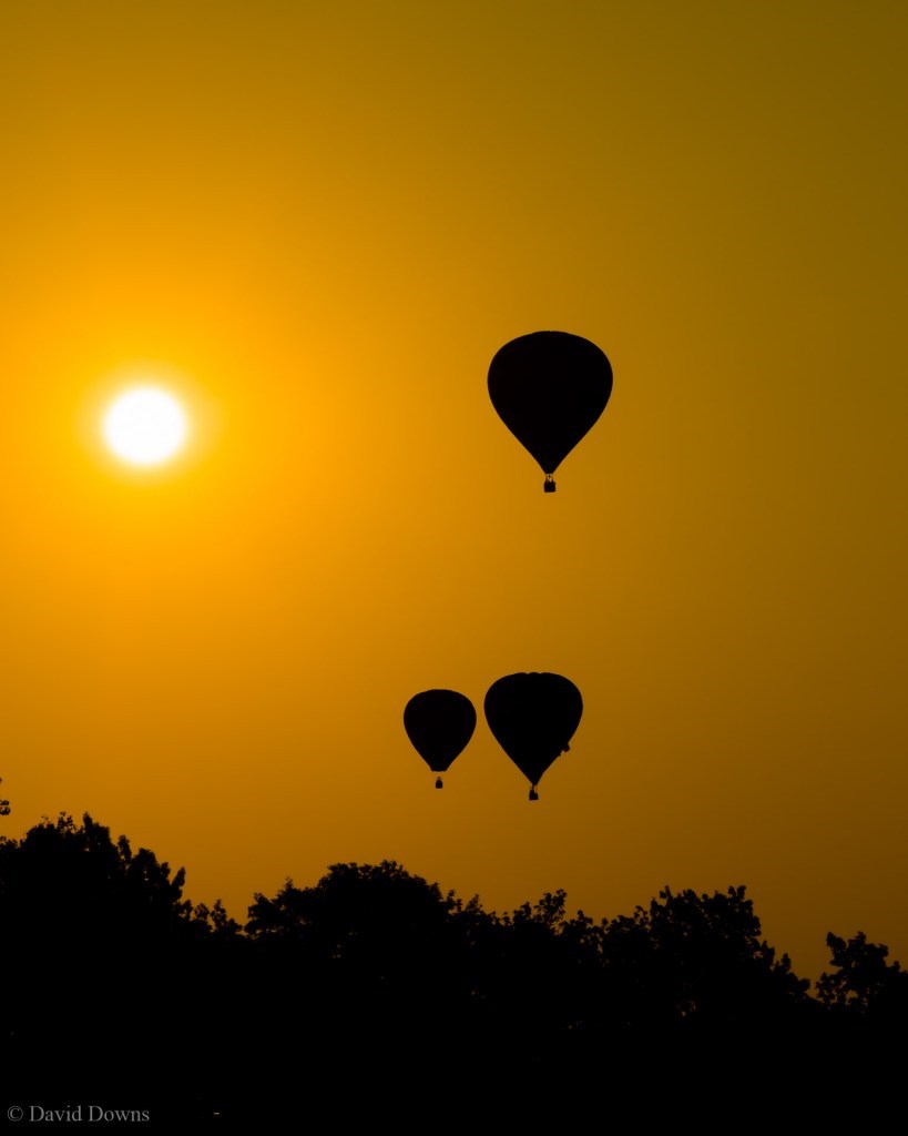 The highly-anticipated Plano Balloon Festival has been canceled for 2021.