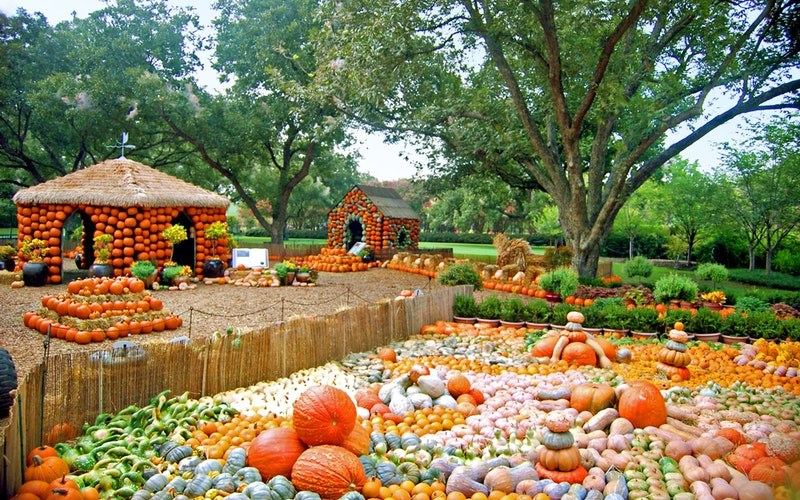 "Autumn at the Arboretum" is one of Dallas' most beloved fall festivals! | Image courtesy of the Dallas Arboretum website
