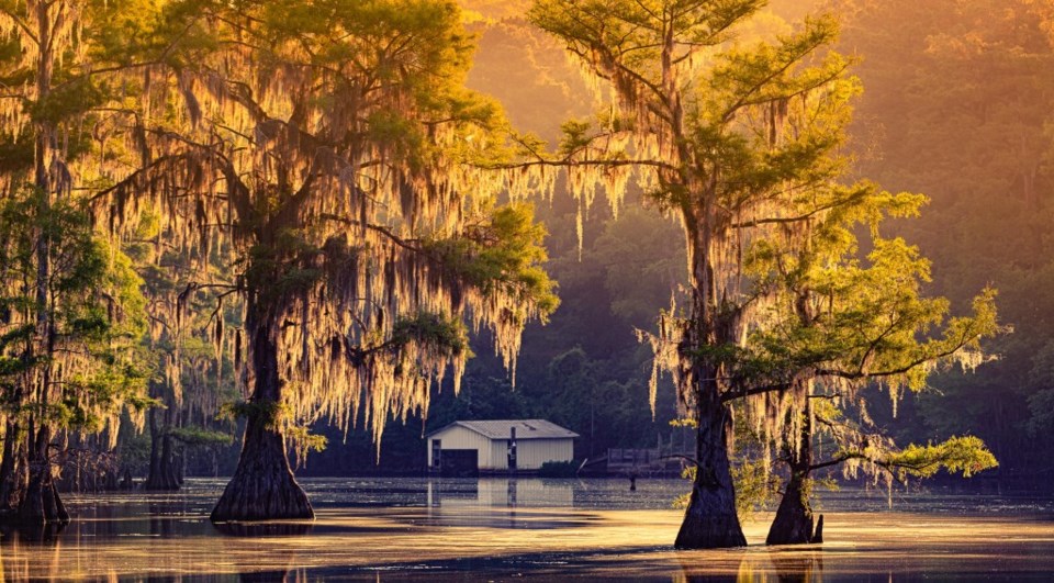 Caddo Lake, Far East Texas, Louisiana, Bigfoot, David Downs