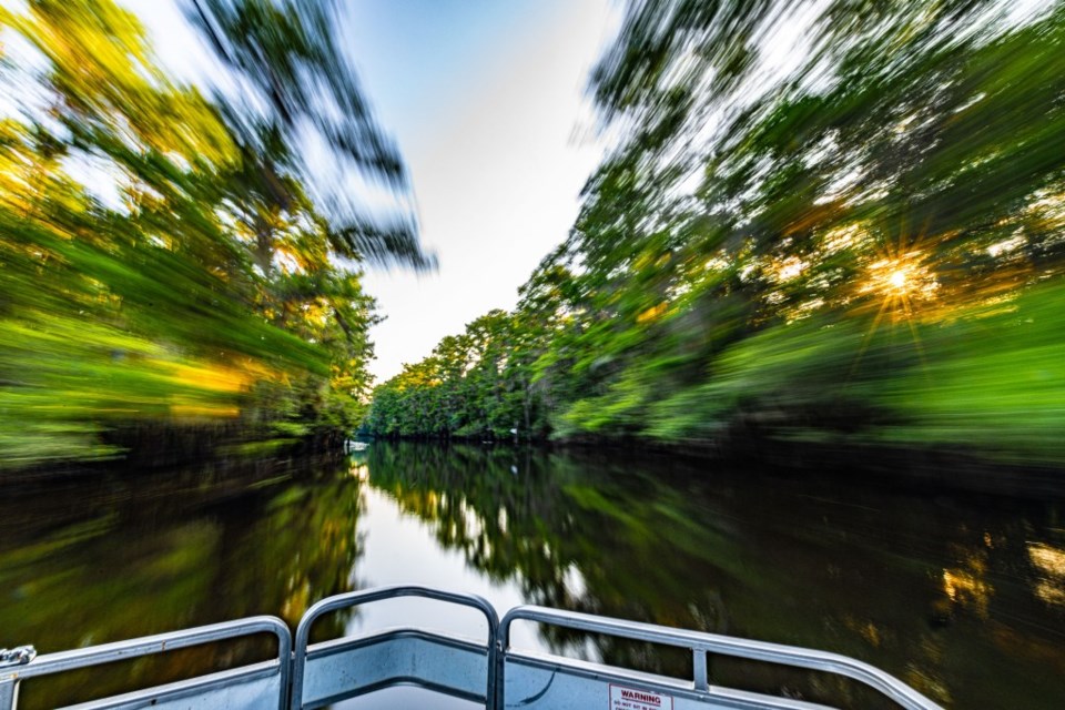 Caddo Lake, Far East Texas, Louisiana, Bigfoot, David Downs