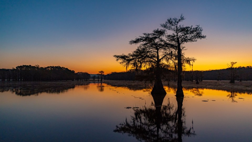 Caddo Lake, Far East Texas, Louisiana, Bigfoot, David Downs