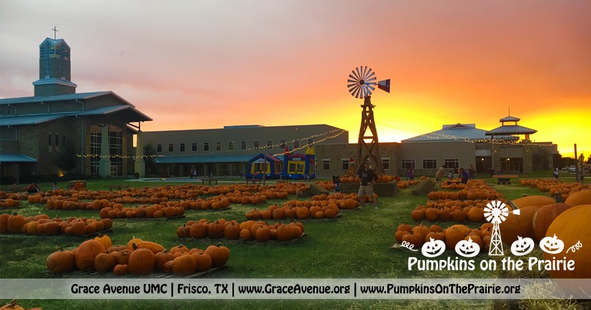 Hall's Pumpkin Farm is one of the best local Pumpkin Patches!