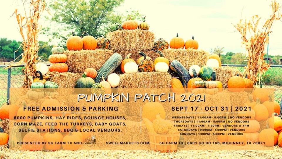 Who doesn't love a pumpkin patch when October rolls around?
