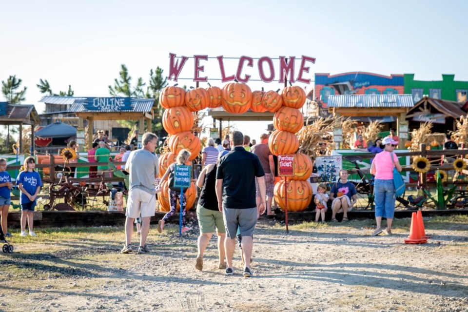yesterland farm, pumpkin patch, fall festival, things to do this weekend