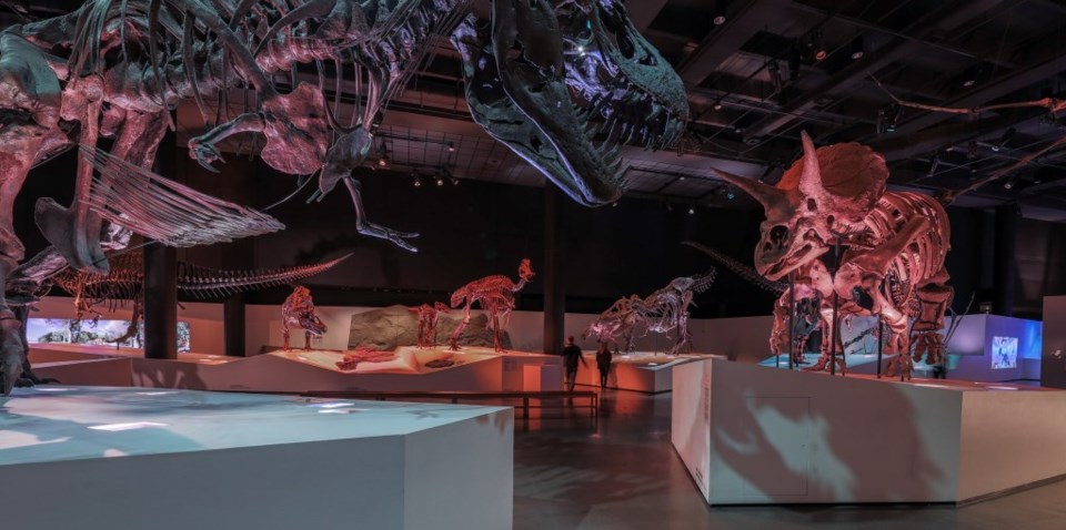 Things to Do Collin County, dinosaurs, things to do, dinosaur, dinosaur events, houston museum of natural science, dinosaur museum 