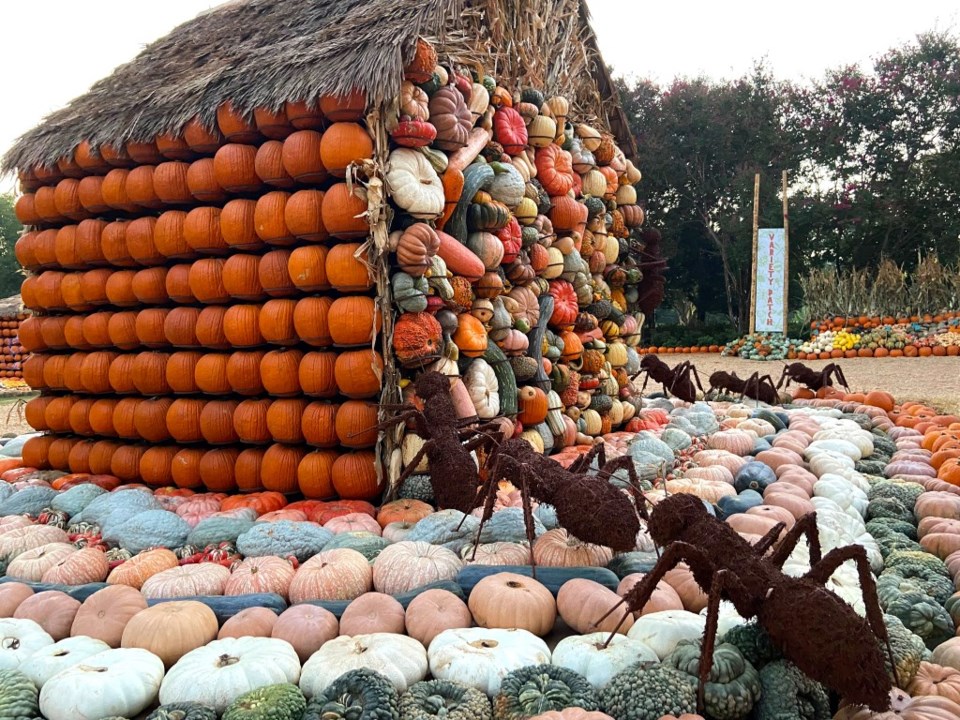 Bug out at the 16th annual Autumn at the Arboretum! This year's theme? Bugtopia!