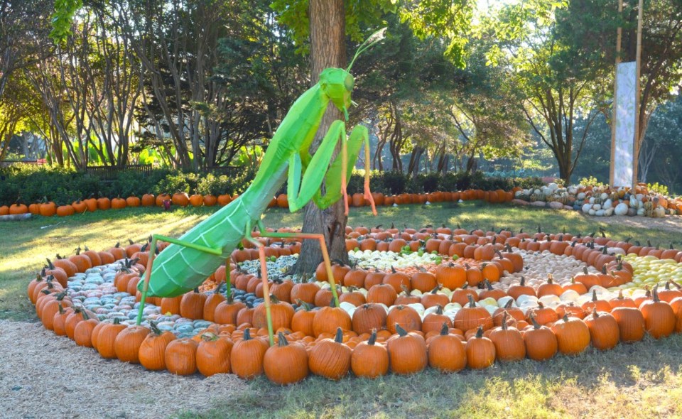 Bug out at the 16th annual Autumn at the Arboretum! This year's theme? Bugtopia!